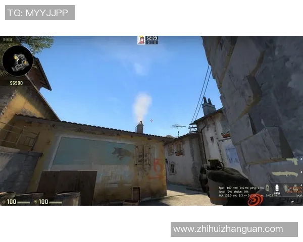 CSGO战队JDG的战术灵活性分析与比赛表现探讨