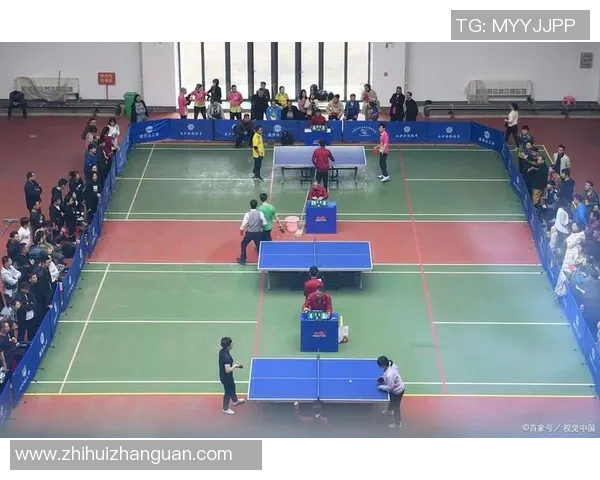 成都乒乓球队的训练与比赛状态全景揭秘乒乓球巨献