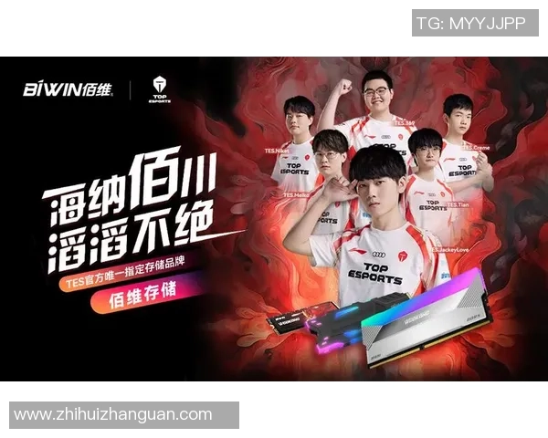 英雄联盟深度解析：TES战队灵活战术与团队协作的秘密探讨